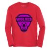 ATC™ PRO TEAM LONG SLEEVE YOUTH TEE Vignette