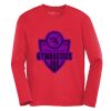 ATC™ PRO TEAM LONG SLEEVE YOUTH TEE Vignette