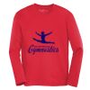 ATC™ PRO TEAM LONG SLEEVE YOUTH TEE Vignette