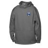 ATC™ PTECH® FLEECE YOUTH HOODIE Vignette